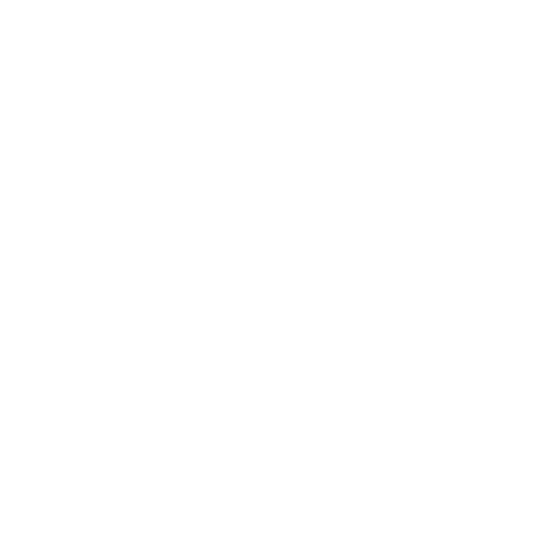 Training online white icon Training online white icon